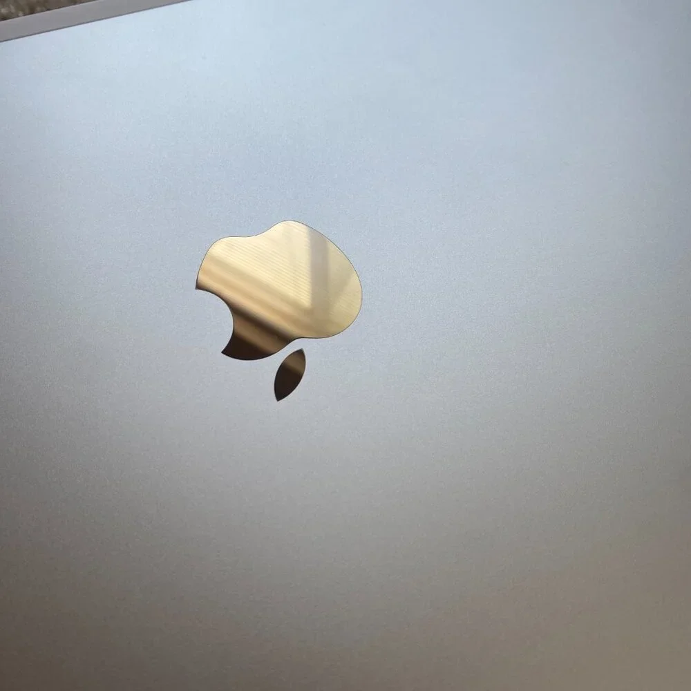 Apple bought this